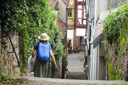 Steps above Miltenberg, Germany