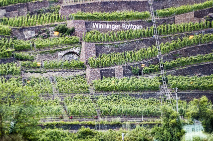 Winningen Roettgen vineyard - Moselle River