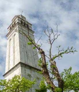 Campanile di San Pietro, Venice