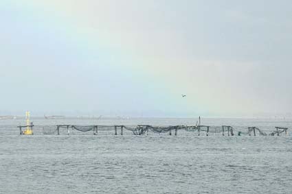 Rainbow in Pellestrina