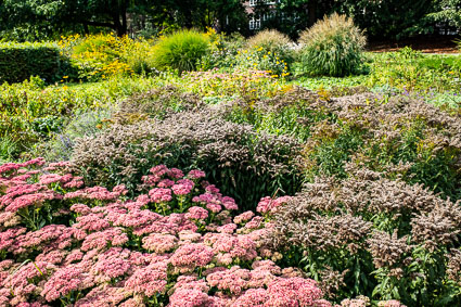 Flower beds at Planten un Blomen, Hamburg