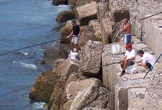 Cadiz fishermen photo