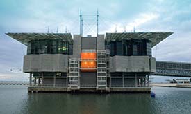 Lisbon Oceanarium photo