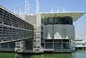 Lisbon Oceanarium photo