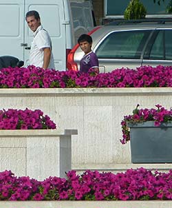 Civitavecchia flower planters