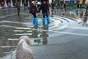 Acqua alta in Piazza San Marco