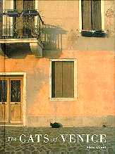 Cats of Venice - Shin Otani - book jacket