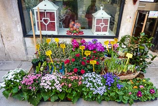 Venice florist shop