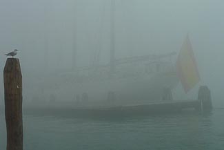 Fog in Venice